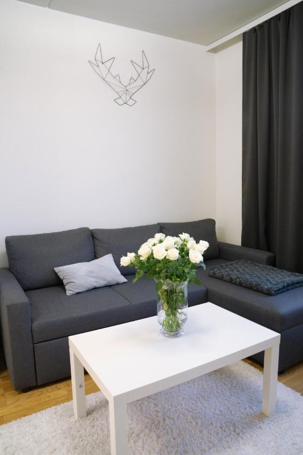 Lovely Northern Apartment, Parking Oulu Kültér fotó